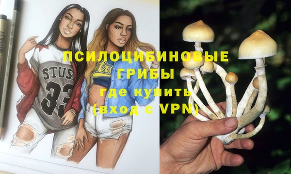 ECSTASY Абинск
